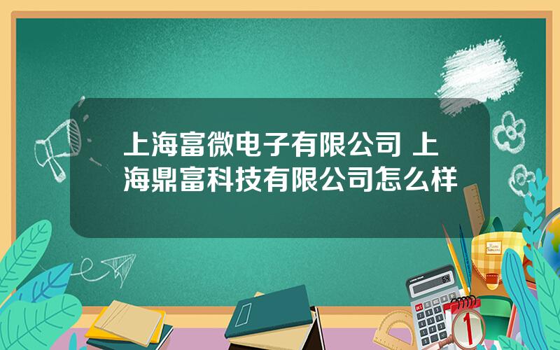 上海富微电子有限公司 上海鼎富科技有限公司怎么样